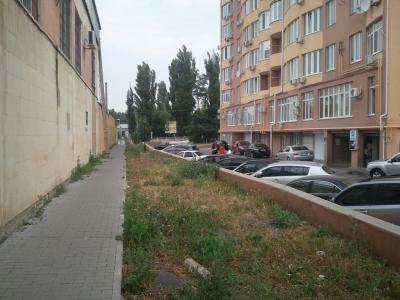 Прикрепленное изображение: Тренева 21.jpg